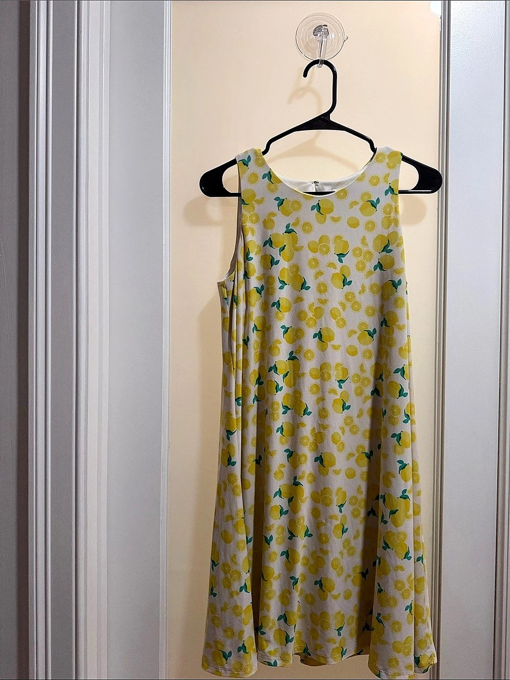 Let Them Have Lemons A-Line Dress (Size Small)